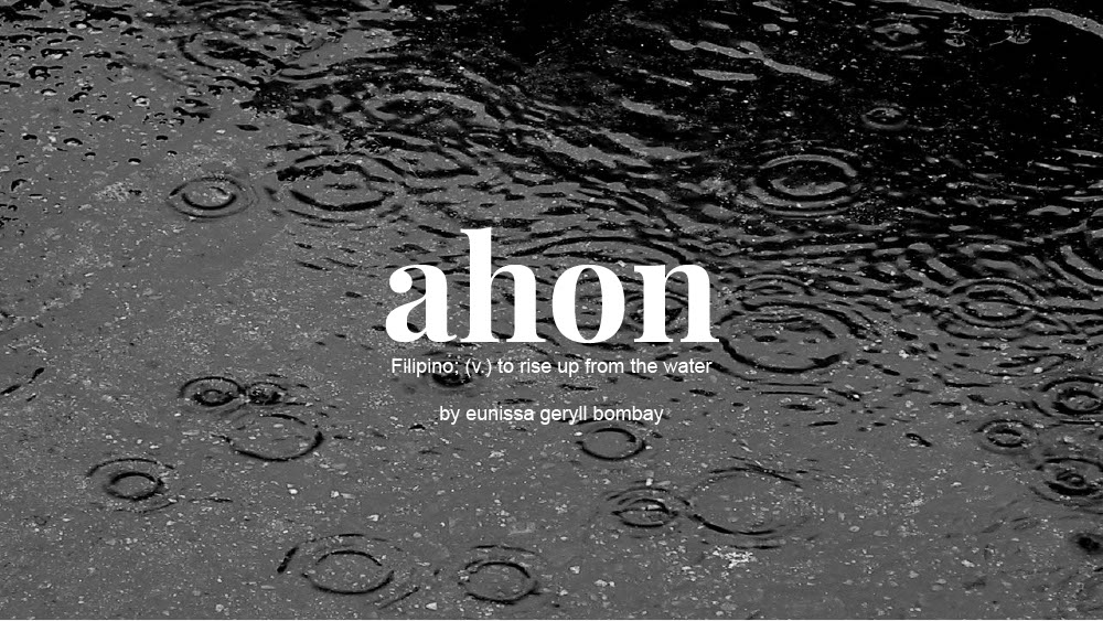 Read more about the article AHON [APCRDS1] by Bombay,Eunissa ID#117